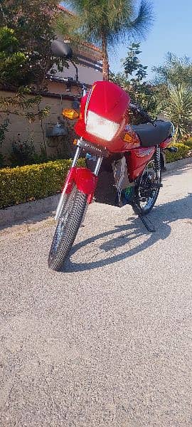 New Electric Bike for Sale 5
