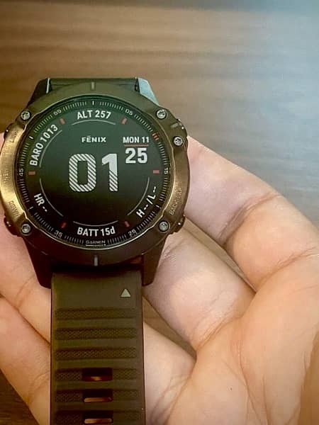 [BRAND NEW] Garmin Fenix 6 Pro Smartwatch/Fitness (Black) 1