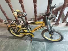 Bicycle for kids upto 10 years
