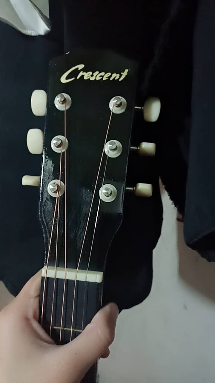 Semi acoustic guitar 2