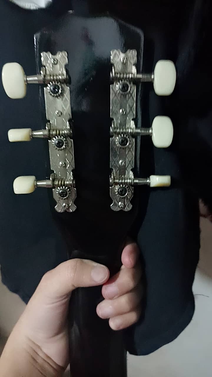 Semi acoustic guitar 7
