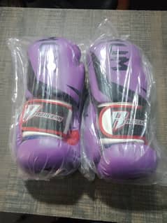Boxing Gloves / Barbell Bars