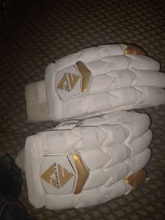 cricket hard ball batting gloves