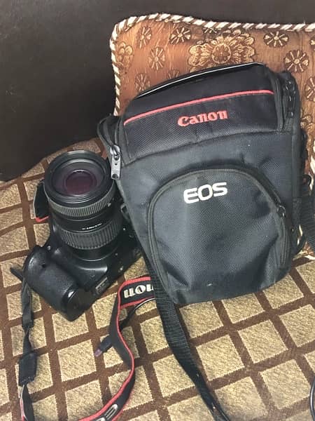 canon 7D with 75/300 outdoor lens 1