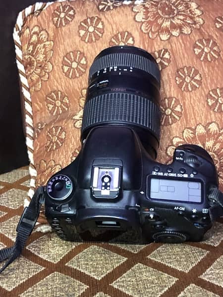 canon 7D with 75/300 outdoor lens 8