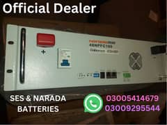 SES & Narada 48v 100ah Battery