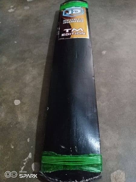 Cricket bat with abdominal gard 2
