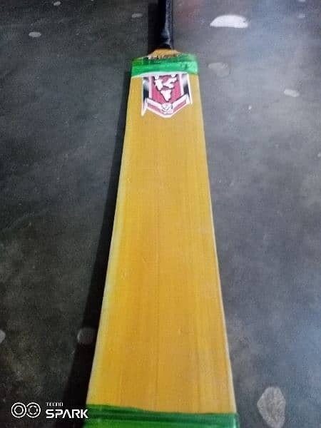 Cricket bat and hard ball 1