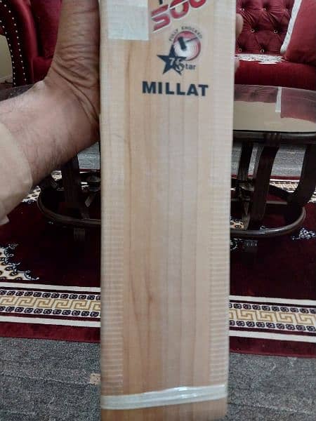 ca plus 5000 pure English willow bat 1