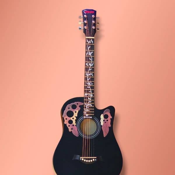 High Quality, Beginner Acoustic Guitars, Glass coated body, JAPAN made 3