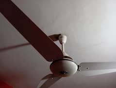 ceiling fan almost new  3 sk