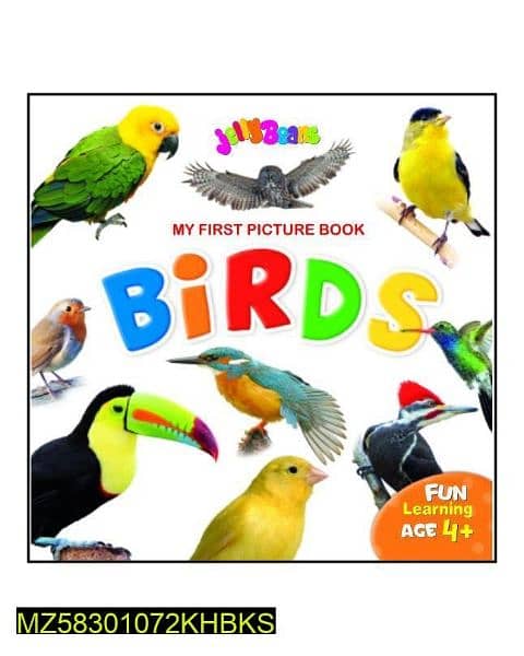My First Picture Book (Birds) 0