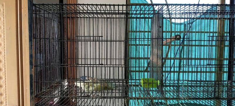 Cage For Sale 1