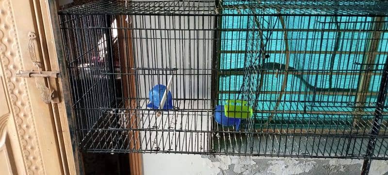 Cage For Sale 4