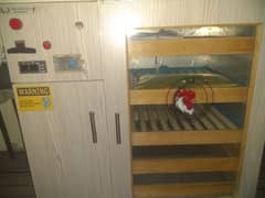 Full Automatic incubator with automatic brooder