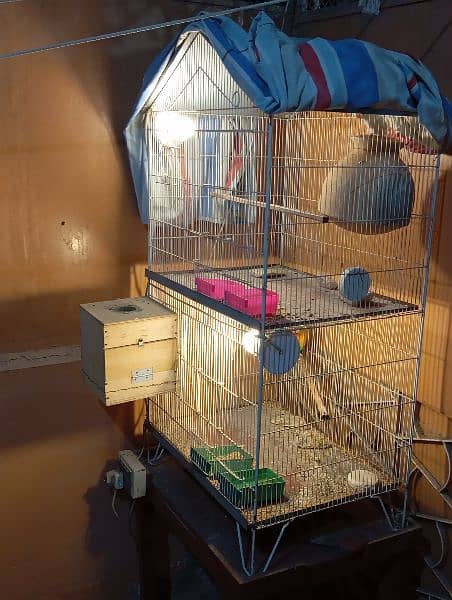 complete setup for sale with two cages and 2 breeding pairs 9