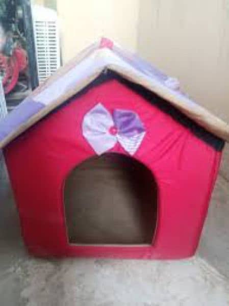 azaming cat's homes 1