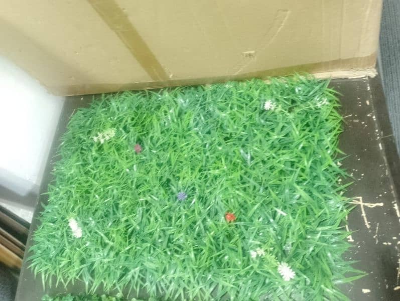 Emporium Artificial Grass- Wall Grass 5