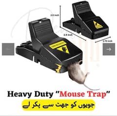 Mouse Trap 100 Percent Work 0317 4203683 Whatsapp number
