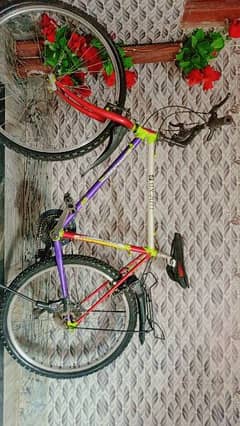 japan bicycle