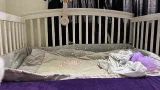 baby cot/crib