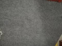 Light gray colored carpet with underlay