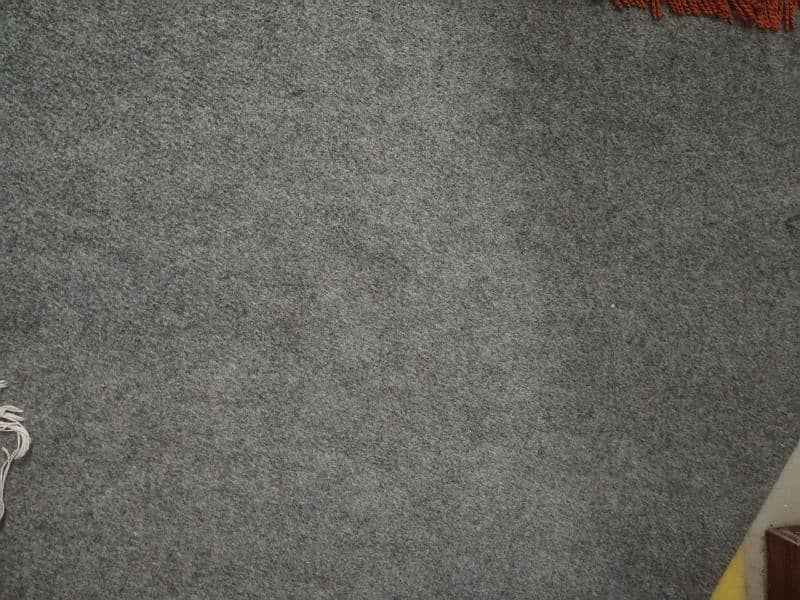 Light gray colored carpet with underlay 0