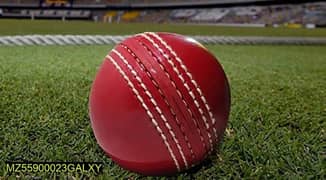 3 cricket practice ball rubber