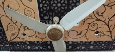 2 Fancy ceiling fans for sale !