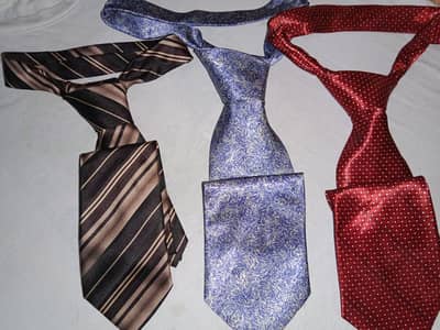 Men 3 ties offer  (buy 1 get 2 Free)