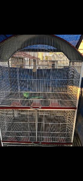 Bird Cage of dimensions of 6X4X1.75 Foot in Brand New Condition 2