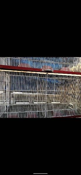 Bird Cage of dimensions of 6X4X1.75 Foot in Brand New Condition 4
