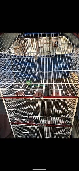 Bird Cage of dimensions of 6X4X1.75 Foot in Brand New Condition 5