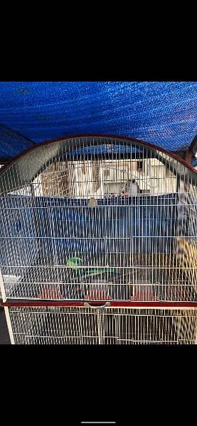 Bird Cage of dimensions of 6X4X1.75 Foot in Brand New Condition 6