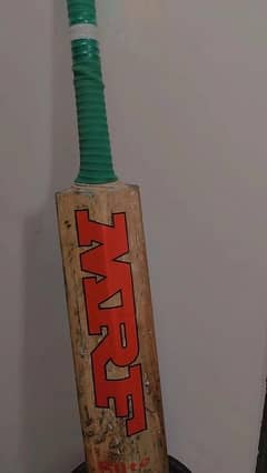 Kashmir willow bat with great ping