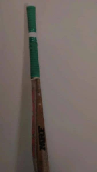Kashmir willow bat with great ping 1