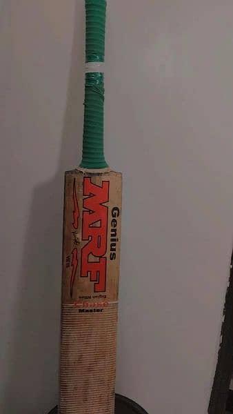 Kashmir willow bat with great ping 4