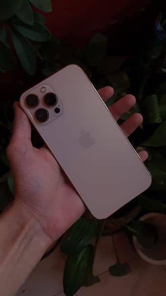 Iphone 13 pro max 128gb factory unlocked