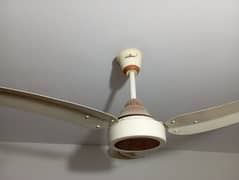 2 fans ceiling fan as new for sale