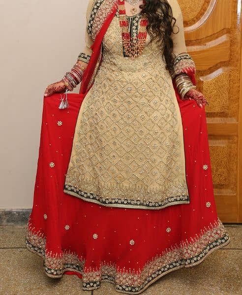 shiffon stuff lehnga 0