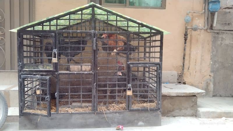 IRON CAGE FOR SALE HENS) 1