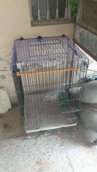 fancy bird cage