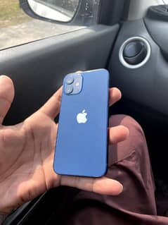 iPhone 12mini Lush Condition