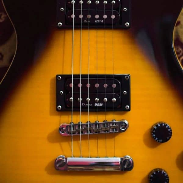 Washburn Lespaul Electric Guitar 1