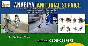 Sofa Cleaning, Carpet Cleaning, Mattres Cleaning in all karachi