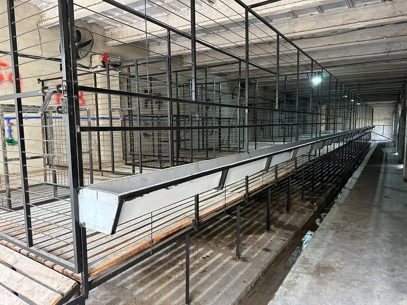 Modern goat   cage | cage | iron cage | pinjra 0
