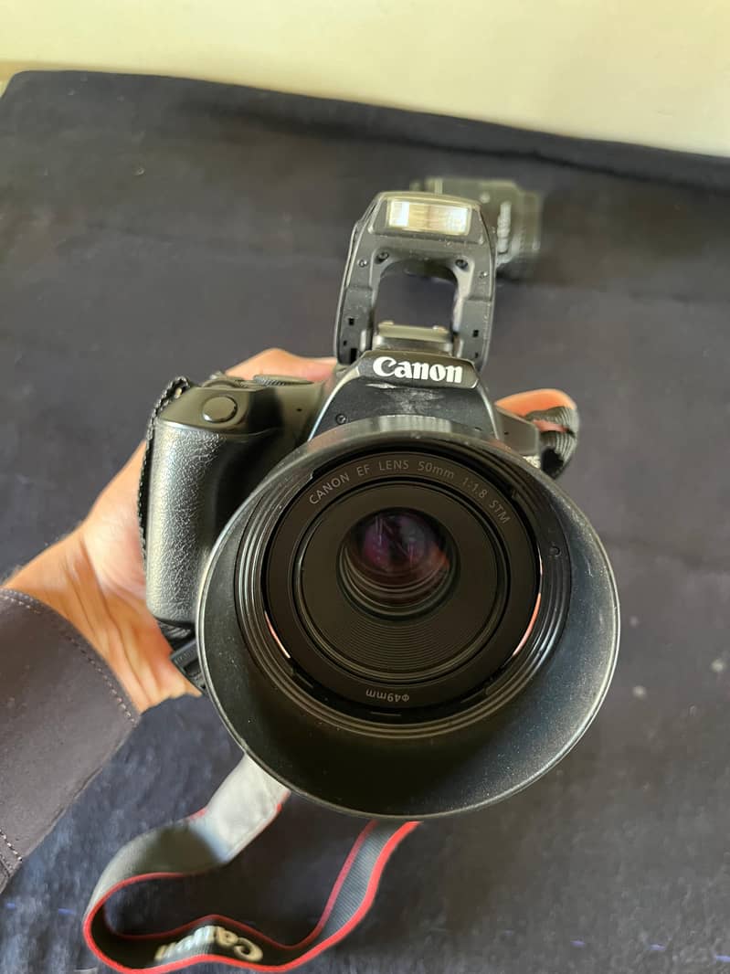 Canon 250D For sale 4