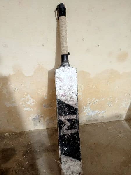 best cricket bat 1