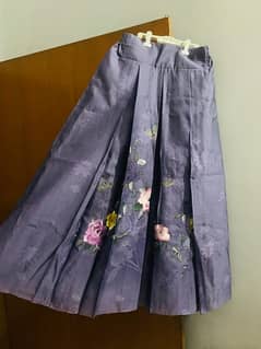 Shirt and embroidered skirt