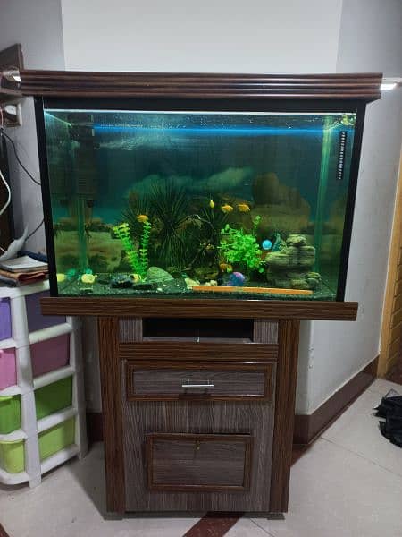 Fish Aqurium glass tank, guppy and accessories for sale (Peshawar) 1